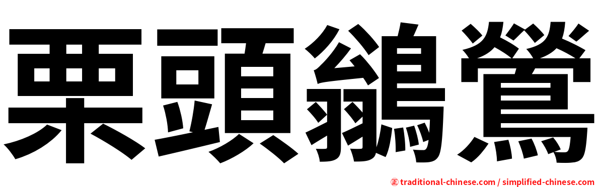 栗頭鶲鶯