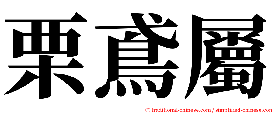 栗鳶屬 serif font