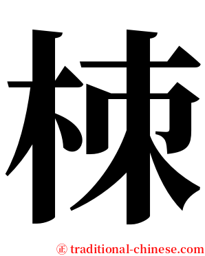 栜 serif font
