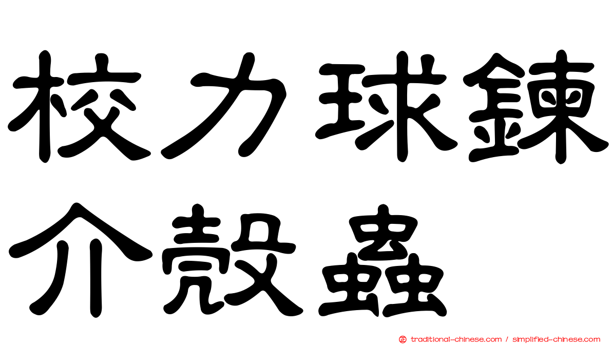 校力球鍊介殼蟲