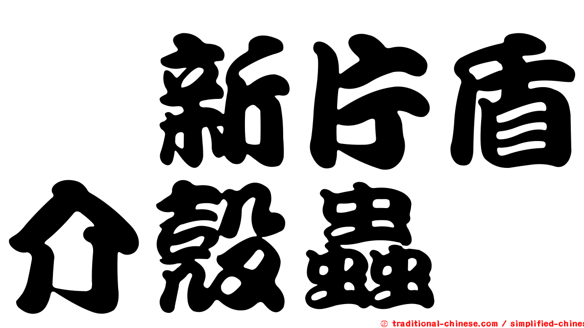 栲新片盾介殼蟲
