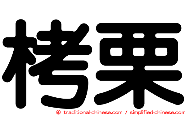 栲栗