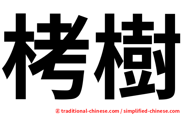 栲樹
