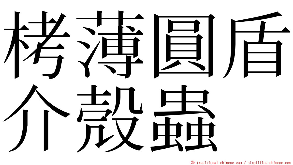 栲薄圓盾介殼蟲 ming font