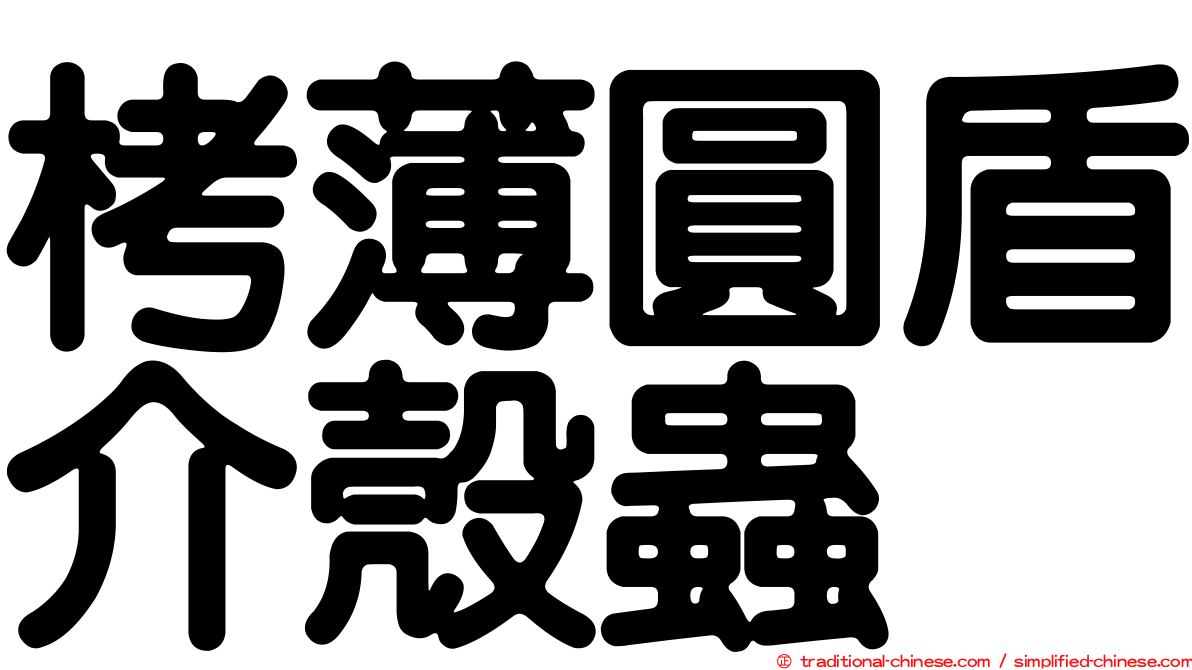 栲薄圓盾介殼蟲