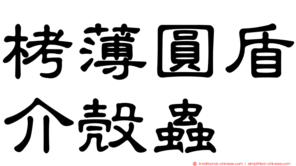 栲薄圓盾介殼蟲