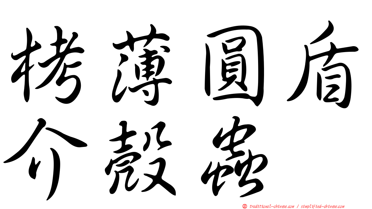 栲薄圓盾介殼蟲