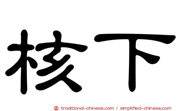 核下