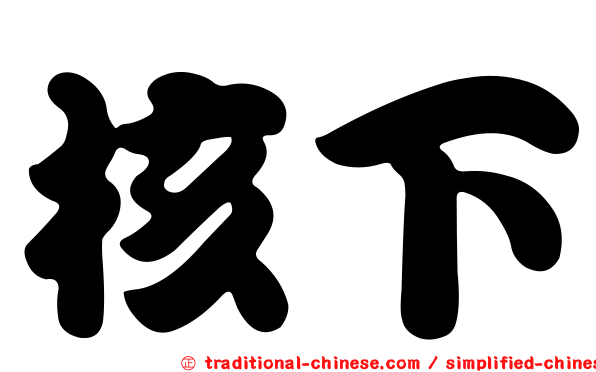 核下
