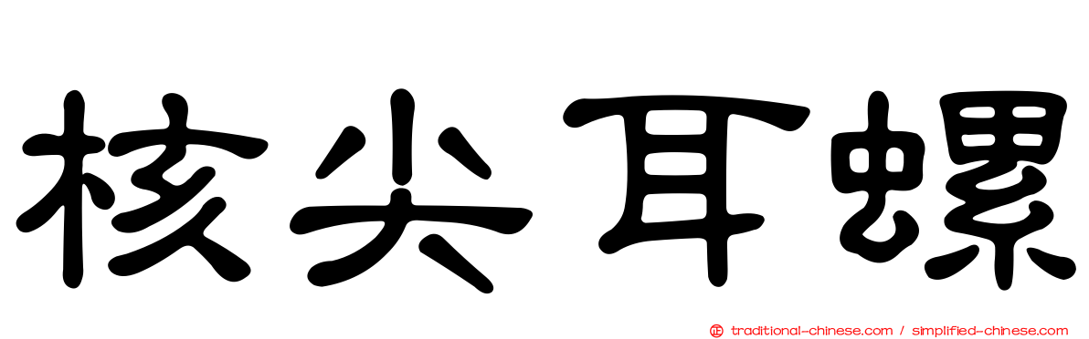 核尖耳螺