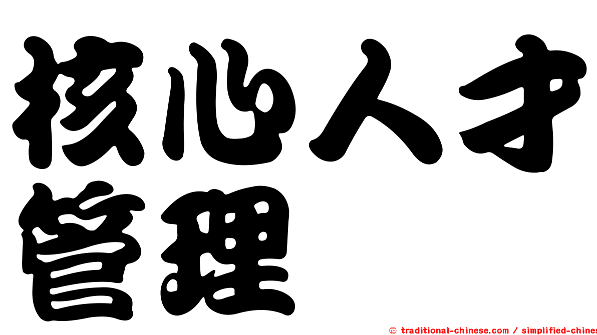 核心人才管理
