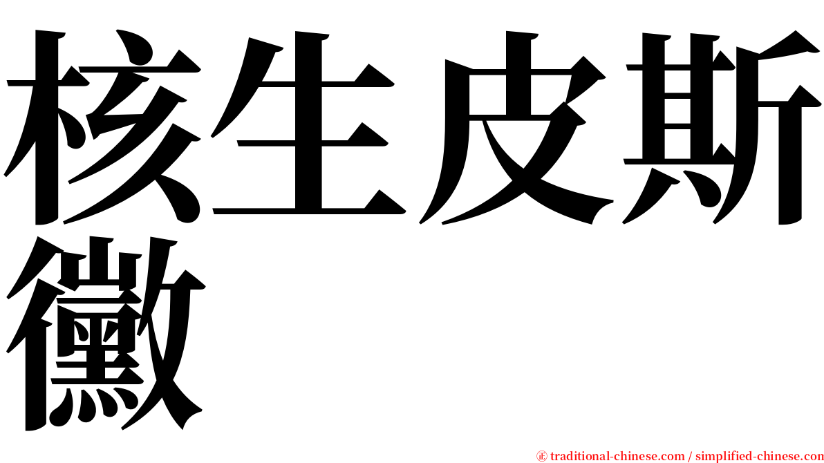 核生皮斯黴 serif font