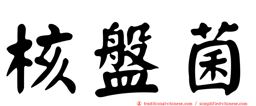 核盤菌