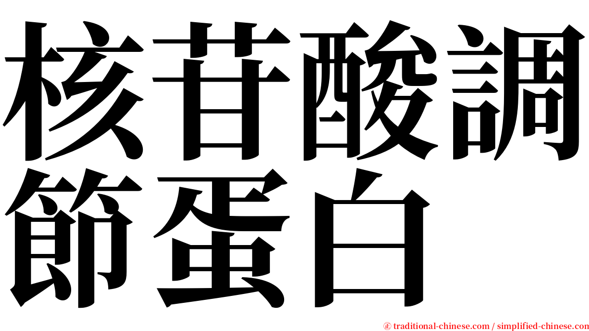 核苷酸調節蛋白 serif font