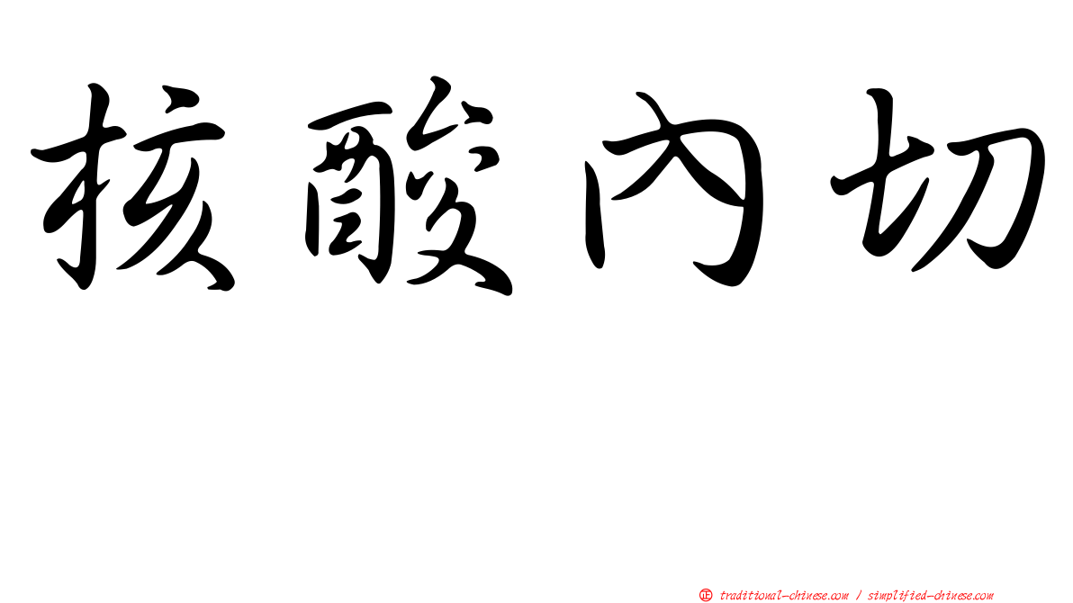 核酸內切酶