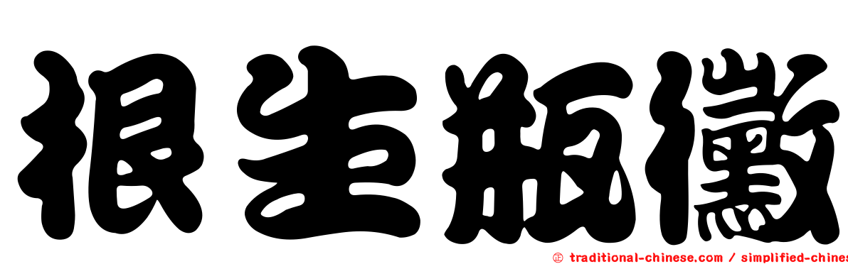 根生瓶黴