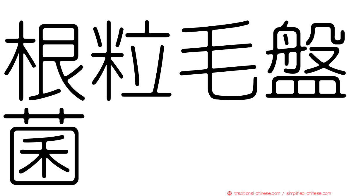 根粒毛盤菌