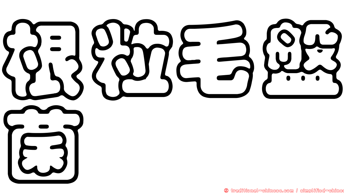 根粒毛盤菌