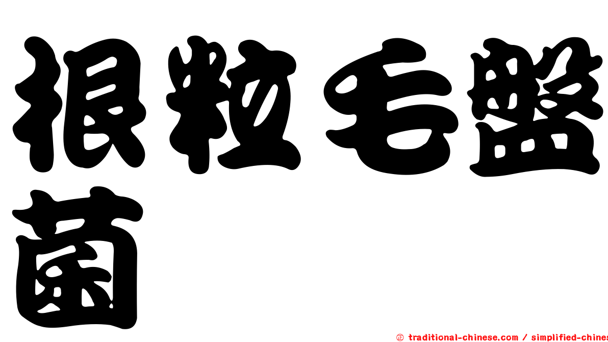 根粒毛盤菌