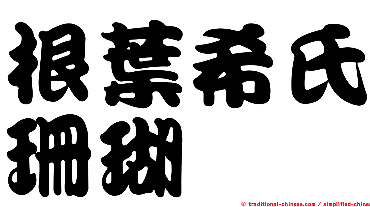 根葉希氏珊瑚