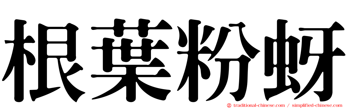 根葉粉蚜