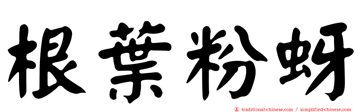根葉粉蚜