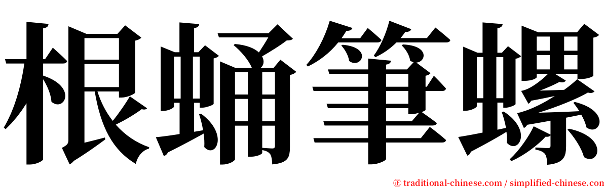 根蛹筆螺 serif font