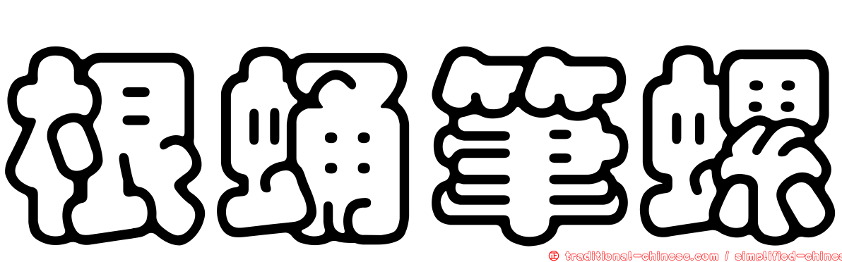 根蛹筆螺