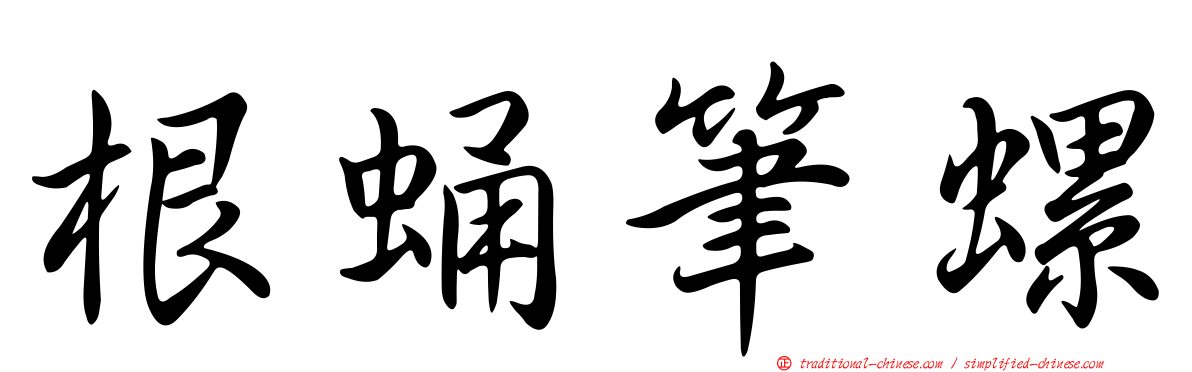 根蛹筆螺