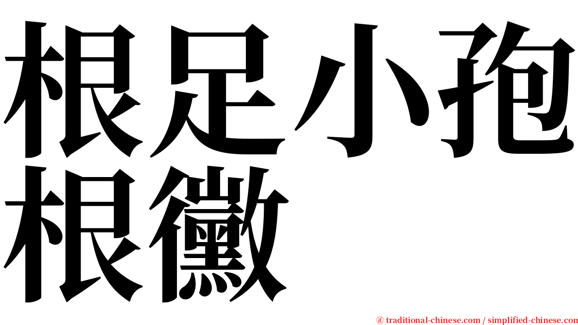 根足小孢根黴 serif font