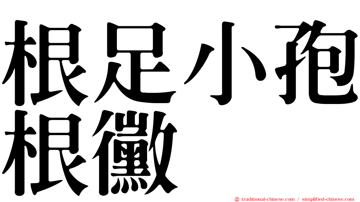 根足小孢根黴