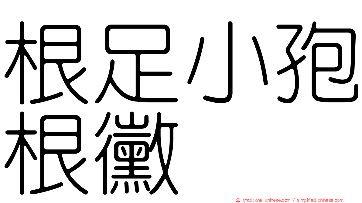 根足小孢根黴