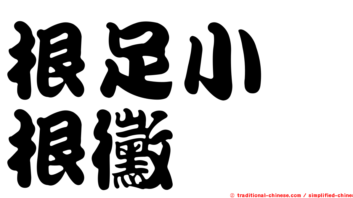 根足小孢根黴
