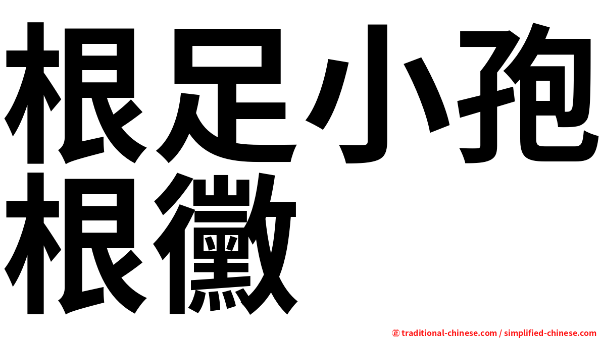 根足小孢根黴