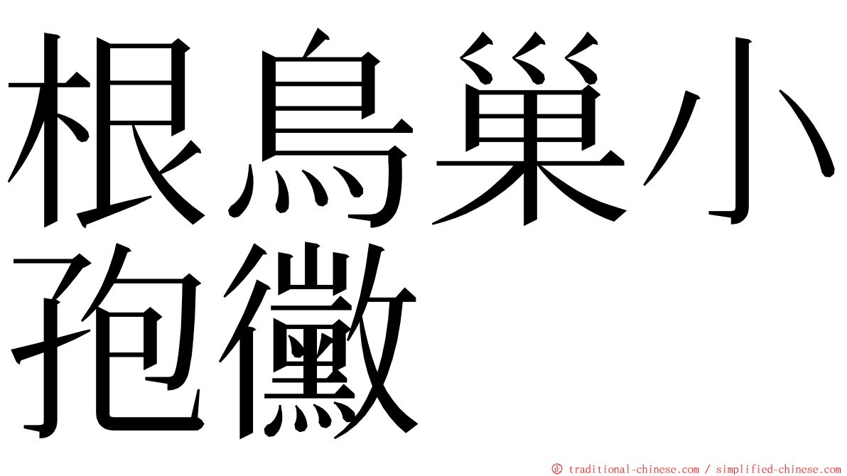 根鳥巢小孢黴 ming font