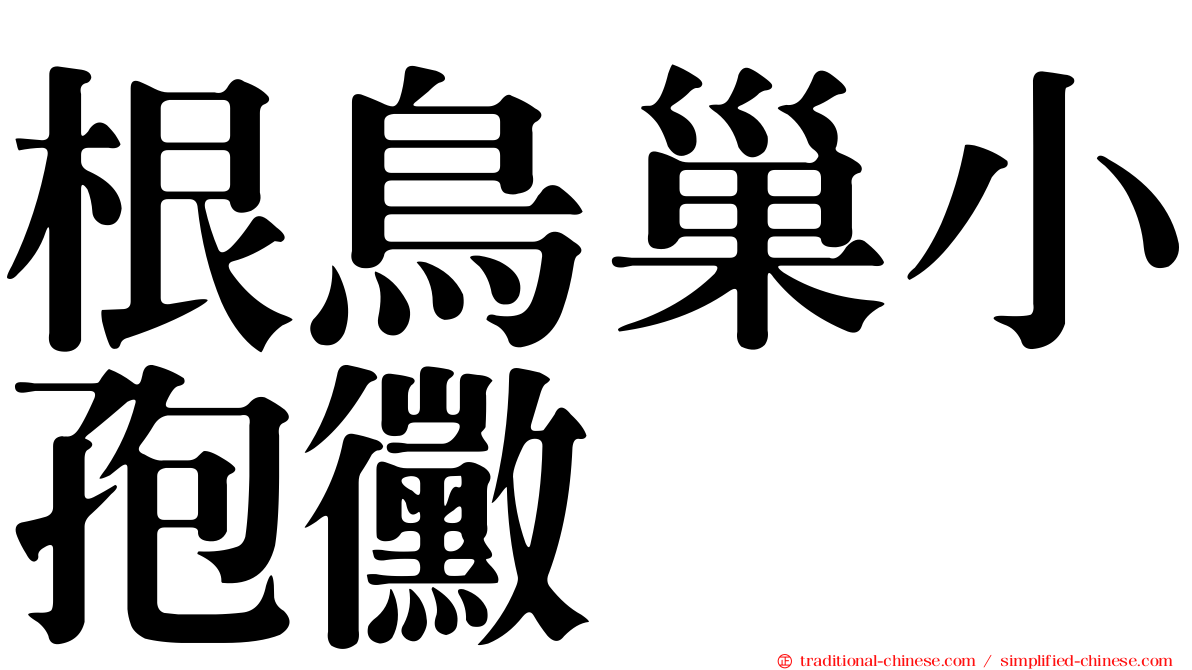 根鳥巢小孢黴