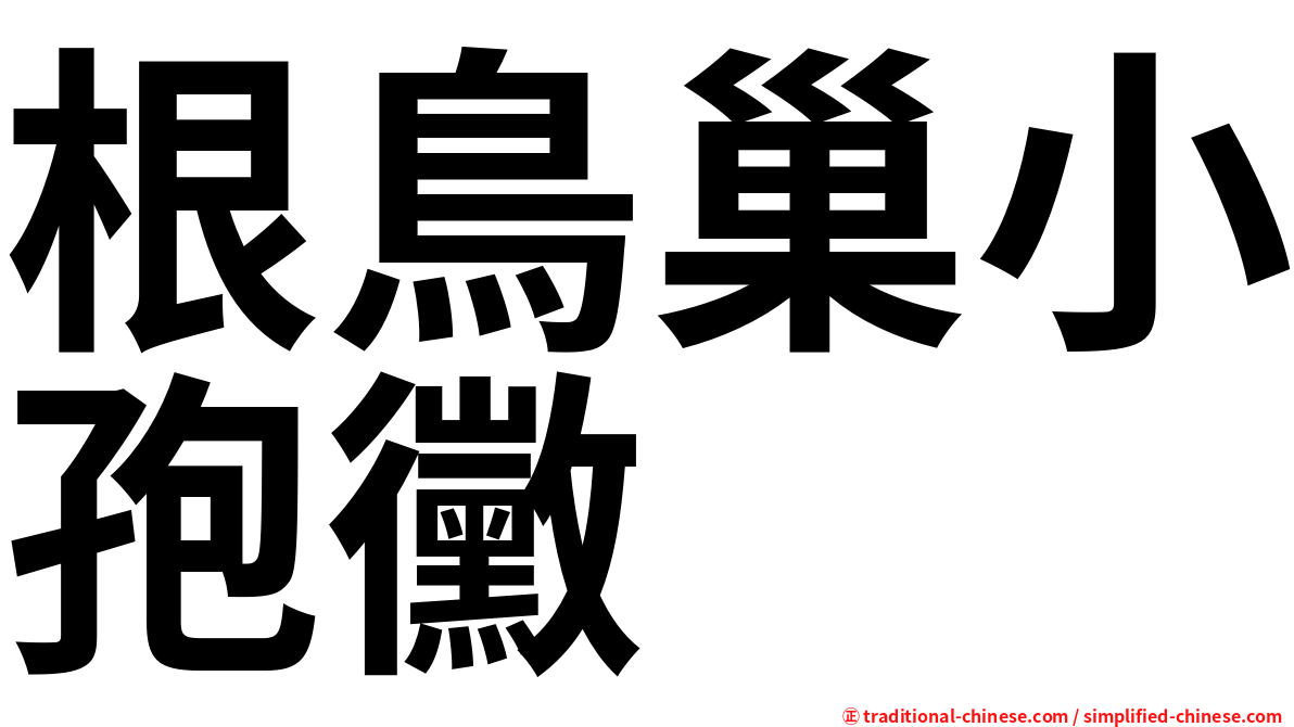 根鳥巢小孢黴