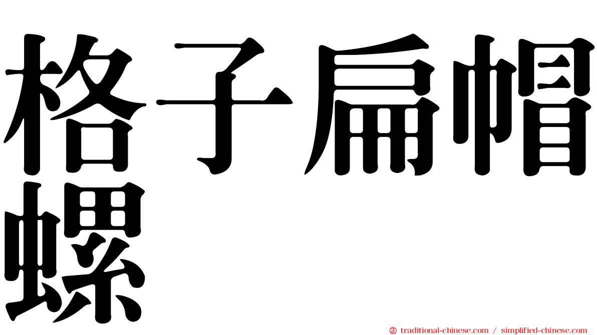 格子扁帽螺