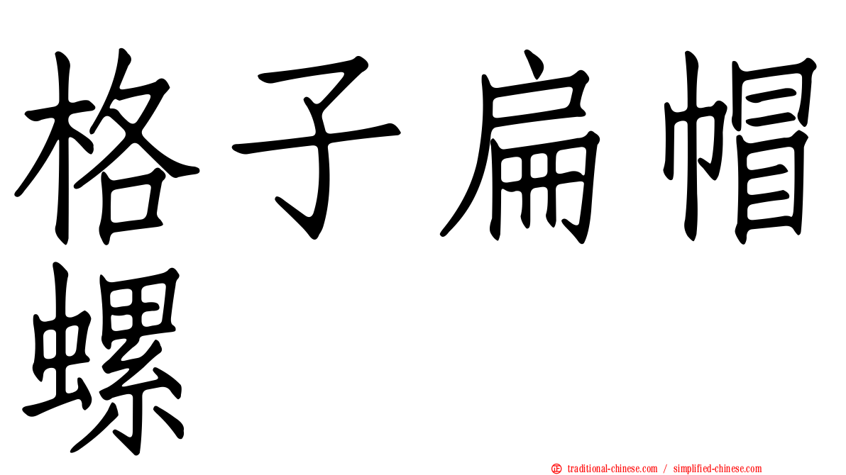 格子扁帽螺