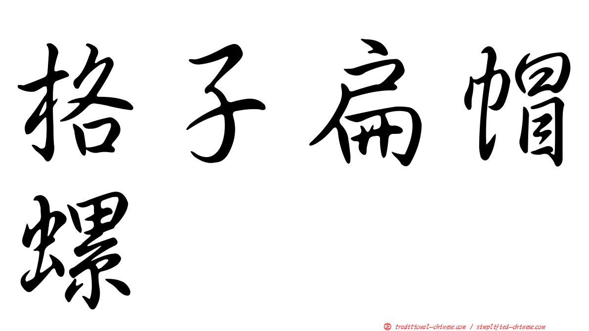 格子扁帽螺