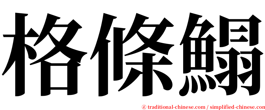 格條鰨 serif font
