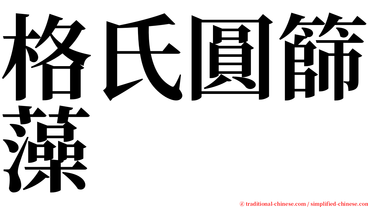 格氏圓篩藻 serif font