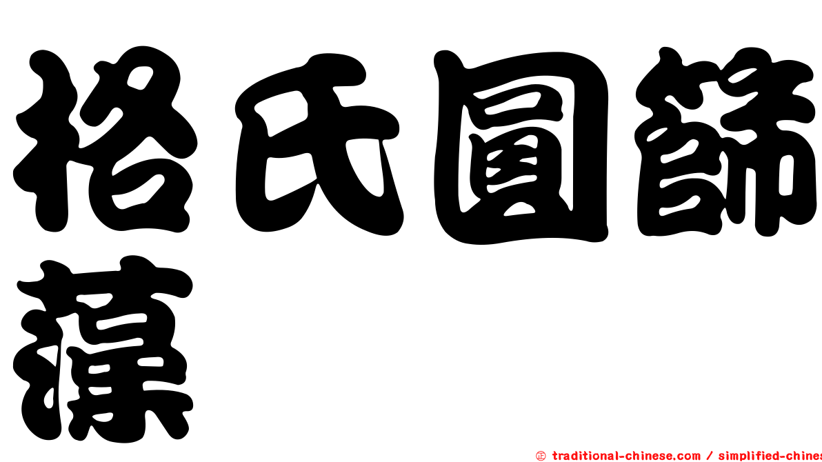 格氏圓篩藻