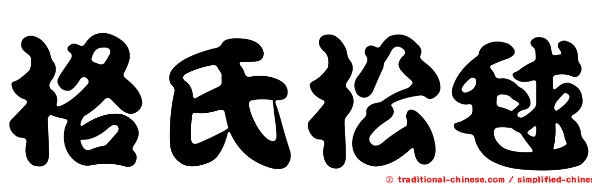 格氏松毬