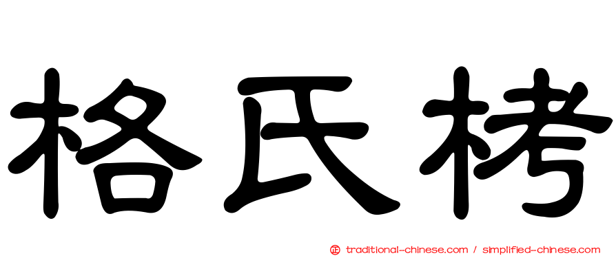 格氏栲