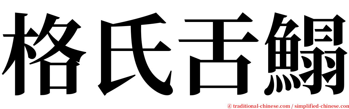 格氏舌鰨 serif font