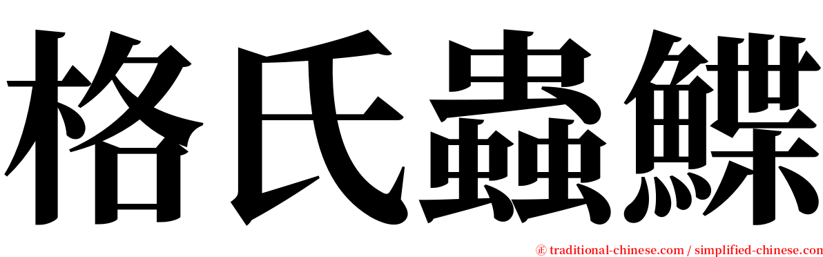 格氏蟲鰈 serif font