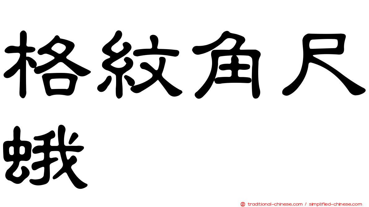 格紋角尺蛾