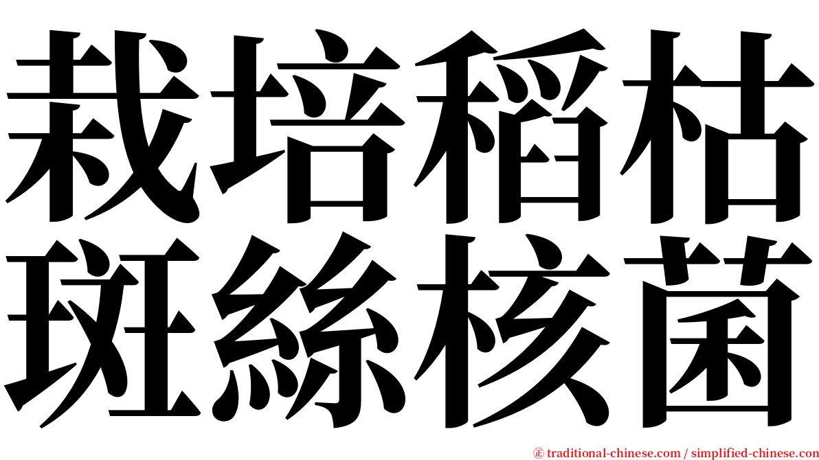 栽培稻枯斑絲核菌 serif font