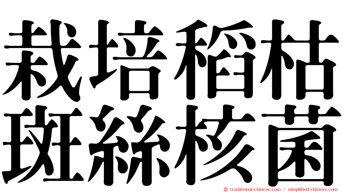 栽培稻枯斑絲核菌